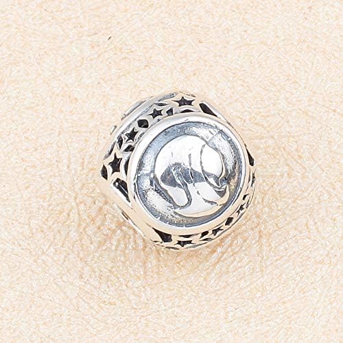 NicelyFit 925 Sterling Silver Zodiac Constellation Sign Bead Charm fit Pandora Chamilia Bracelet Necklace (Virgo)