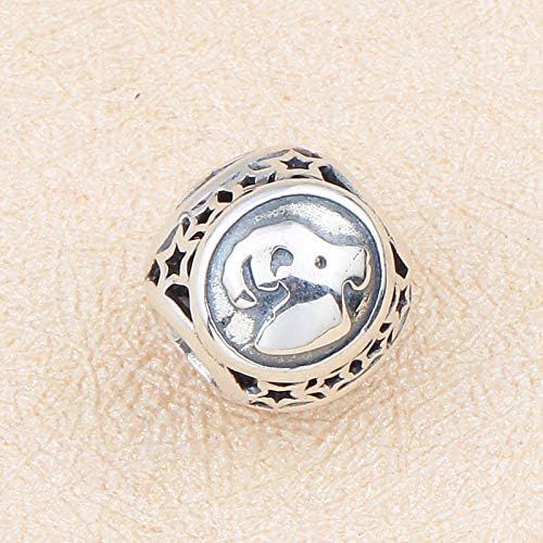NicelyFit 925 Sterling Silver Zodiac Constellation Sign Bead Charm fit Pandora Chamilia Bracelet Necklace (Virgo)
