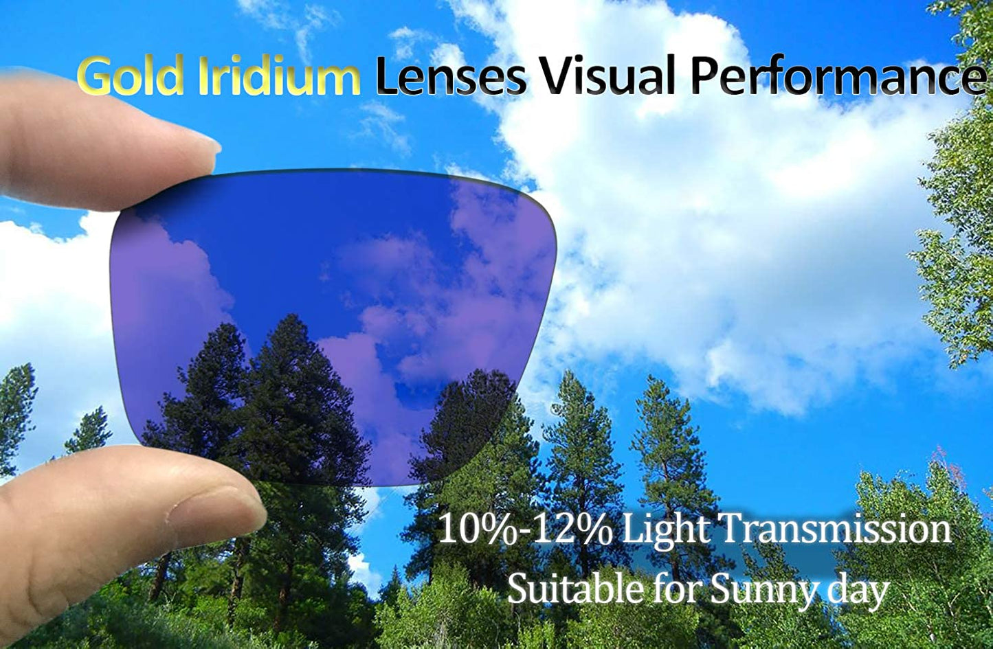 Prizo Polarized Replacement Lenses for Oakley Dispatch 2 Sunglasses OO9150 - Multiple Options