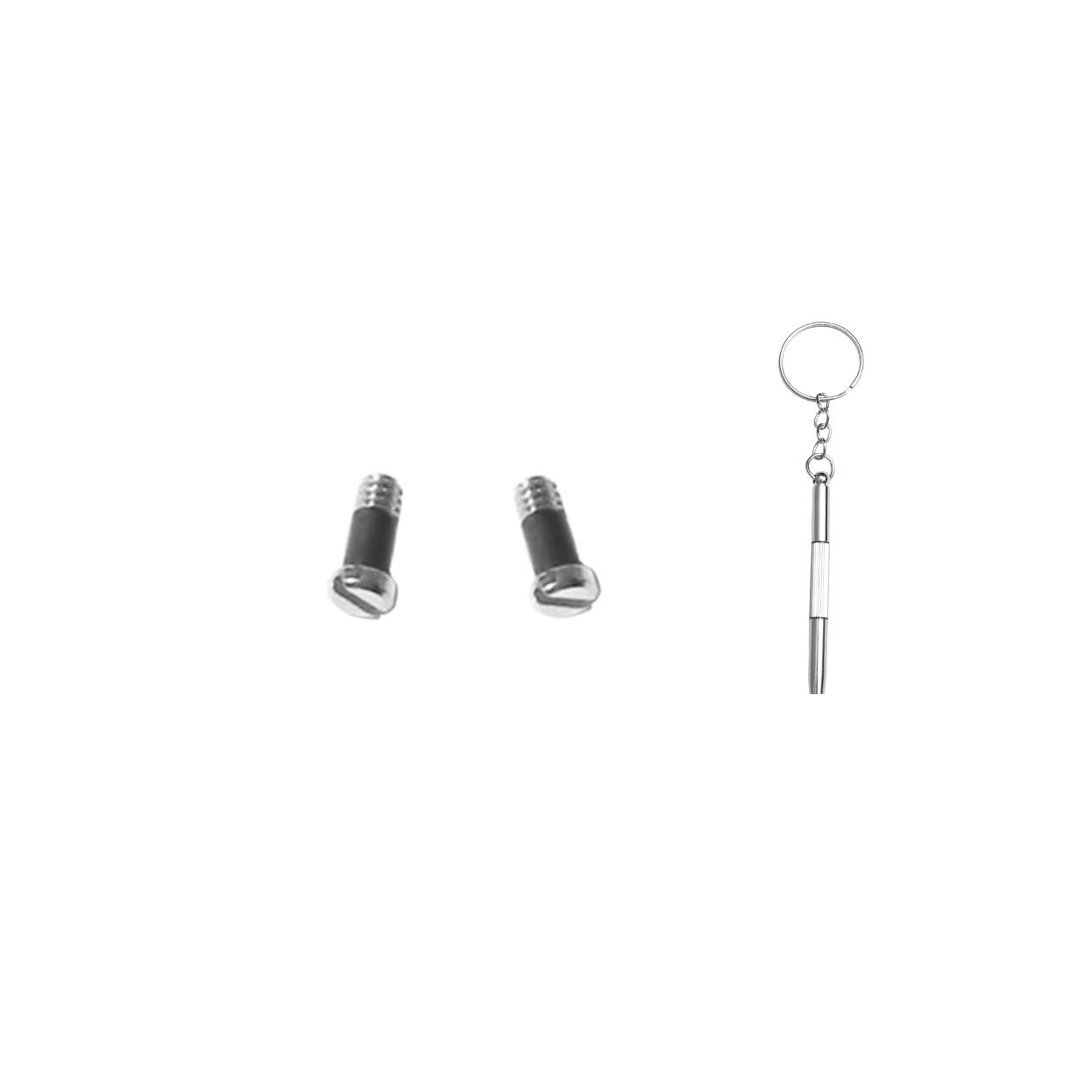 Replacement Sunglass Screw Compatible for RayBan RB2132 Wayfarer Sunglasses,with Screw Driver Golden
